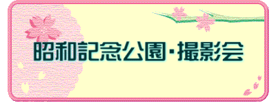 ���a�L�O�����E�B�e��